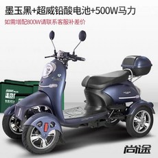 역삼륜오토바이 전기 전동차 륜 스쿠터 삼륜전기오토바이, 01.48V, 03.흑연납산버전