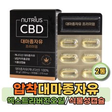 가불민주주의