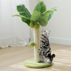  고양이스크래쳐 천연 고양이 긁기 나무 기둥 무해한 환경 갈색 반려동물 제품 25cm 벽스크래쳐, 빨간 