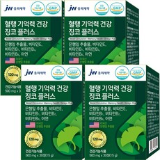 jw중외제약 징코240(120캡슐)-4개월분, 120정, 1개
