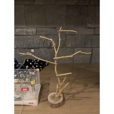 앵무새놀이터 대형횟대 자바트리 스탠드 나뭇가지 원목장난감 앵무새횟대 조류, B. 0.9m 새 스탠드, 1개