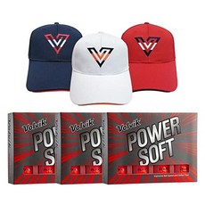 다이아세트가격