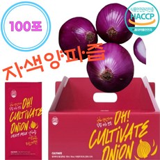 식약청인증 무안 자색 양파즙 100포 100% 빨간 양파즙 100ml 대용량 황토땅 혈관청소. 당뇨예방. 다이어트 도움 2중포장 특급배송