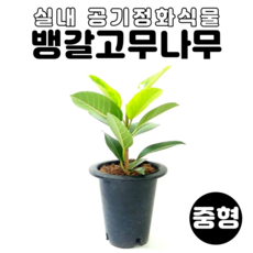 7627d020fe87af8f1dafd6ae056906cc0280f8b8f6f95e41ad6ddfef4b2b.png