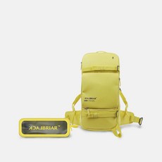 블랙브라이어휠백