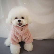 킨더후리스펫