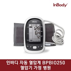 바겐슈타이거인바디