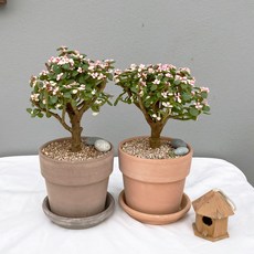 9adf5ee2bd9e3c656ca0a06462f00e24be523206c0142f18cb059db64a78.jpg
