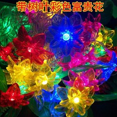 476eb3f61a6b97d615e9044e154aa26939fba8846c901336b34197a1586d.jpg
