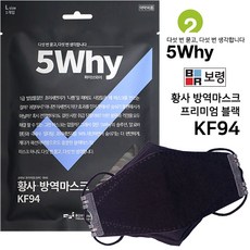 보령 5why 미세먼지마스크 황사마스크 KF94 (10개입), 2.보령 5Why 프리미엄 블랙 (10개입)
