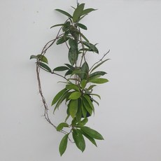 8dd7b13f39fb32f9e598d191197d81664ef7250078dea0f1825d21e08fe8.jpg