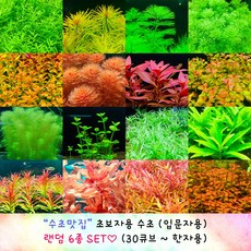 5ff99123246bd4fc00b079e0bc6ff9b5a4438bb35362e7663eb9507ab8f4.jpg