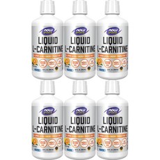 나우푸드 스포츠 고흡수 리퀴드 엘 크레아틴 1000mg 액상 액체 감귤맛, 6개, 946ml