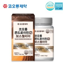 (오마주건강나라)코오롱제약/ 콘드로이친N보스웰리아 1000mgx120정(콘드로이친과보스웰리아를합치다., 1개, 120정