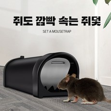 예홈 쥐도 깜빡 속는 쥐덫 끈끈이 쥐약 쥐덪 대형 퇴치기, 1개, 1개