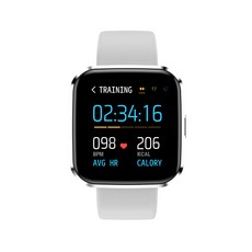 무선스마트전화기