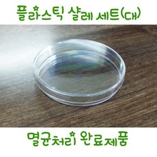 키즈스콜레교구