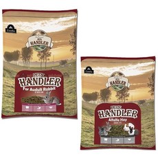 펫츠핸들러 소동물사료&간식, 펫츠핸들러 큰토끼사료 700g+알팔라건초 500g, 1개