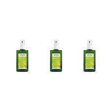 (독일직배) 벨레다 시트러스 24h 데오드란트 스프레이 100ml 3팩 WELEDA Citrus 24h Deodorant Spray 100ml, 3개