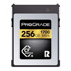 ProGrade Digital 256GB CFexpress Type B 메모리 카드 (골드), 단일상품, 단일상품
