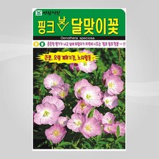 슬로시 꽃 씨앗 모음 꽃씨 허브 허브씨, 핑크낮달맞이꽃500립(아람)