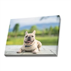 반려견양모펠트액자