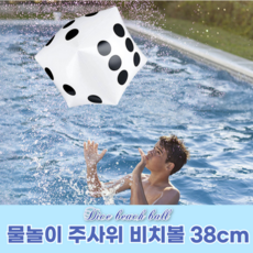 ROIWING 물놀이 주사위 대형 게임 사각 비치볼 38cm OIWING 물놀이 주사위 대형 게임 사각 비치볼 38cm