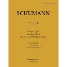 일송미디어슈만