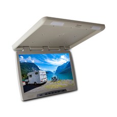 카니발천정형tv