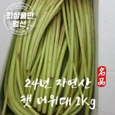 국내산 머위대 자연산머위대 1kg, 1개