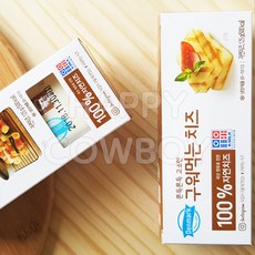 김소영구워먹는치즈