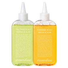 [공식] 스팀베이스 탈모완화기능성 두피 스케일러 티트리 250ml+터메릭 250ml 세트