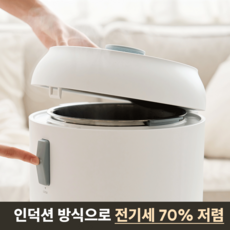 블루필 블랙크리스탈 IH 가열식 가습기, BHM501