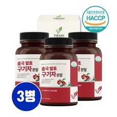 유산균발효구기자