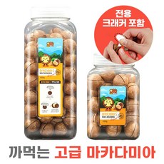 이시영마카다미아