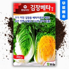 씨앗팜 김장베타 배추씨앗 (300립), 1개