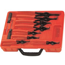 미녀형사아사미