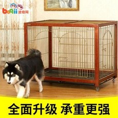 오리푸치