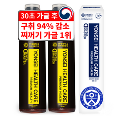 연세대학교 세브란스케어 구강 케어 100% 덴탈 마스터 가글, 500ml, 2개