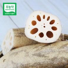 [햇님농장] 경산 무농약 세척 연근 3kg, 1세트, 단품