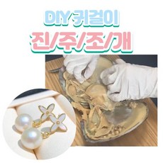 조개진주체험