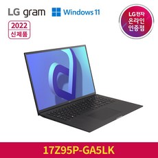 LG 2022 그램 17, 옵시디안 블랙, 17Z95P-GA5LK, 코어i5 11세대, 256GB, 16GB, WIN11 Home