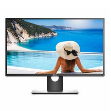 DELL P2417H FHD IPS 광시야각 16:9 24인치 모니터 HDMI DP D-SUB 지원