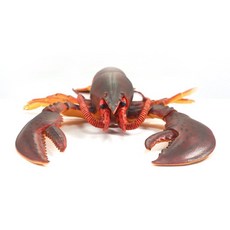 랍스터택배