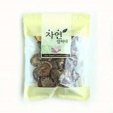 햇살처럼
