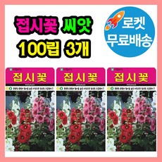 접시꽃 씨앗 (합300립) 관상용 꽃씨 종자, 3개 1개
