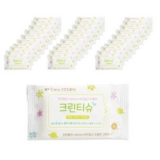 일회용비데티슈