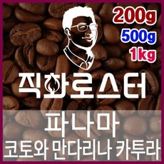 핀카 TOP01