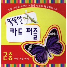 곤충카드