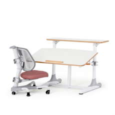 니스툴그로우책상